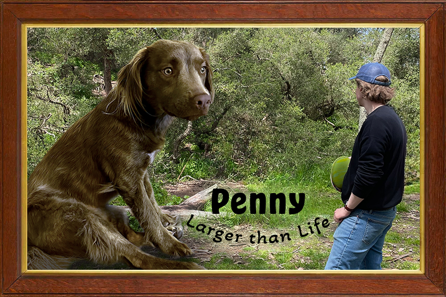 Penny Postcard